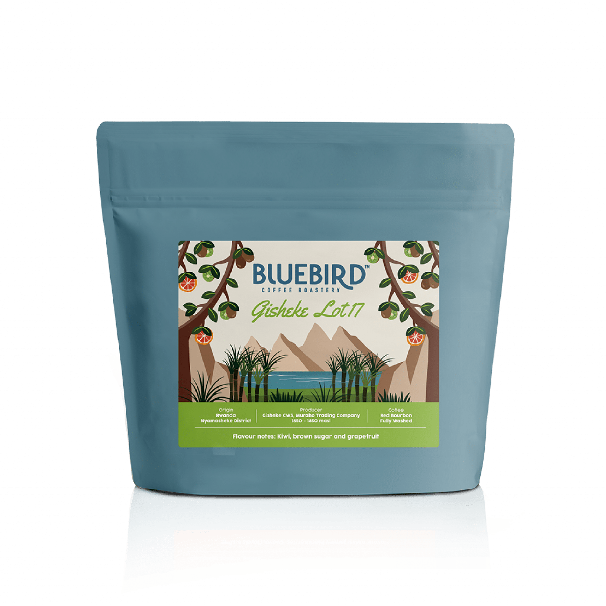Bluebird Coffee Roastery Buy Coffee Online Free Shipping Over R450