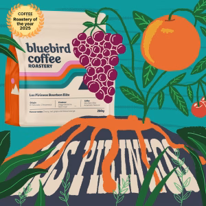 Curated Coffee Subscription
